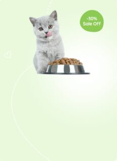 כלי אוכל ושתייה לחתולים