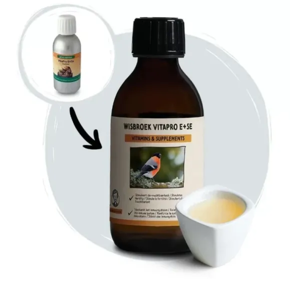 ויטמין אי סלניום לציפורים ויונים – תוסף תזונה איכותי מבית WISBROEK