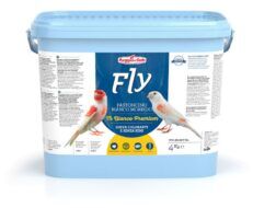 מזון ביצים לכנרים