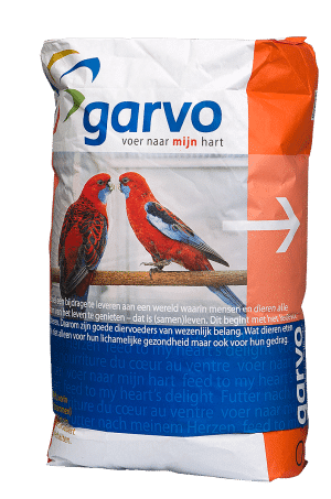 GARVO 5342 גרבו רודזילות ופרקטים גדולים