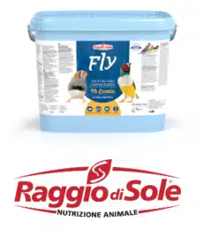 מזון ביצים לפינקים