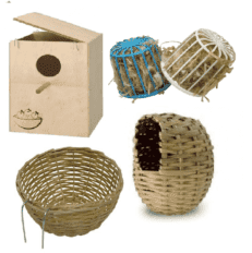 תאי הטלה לציפורים