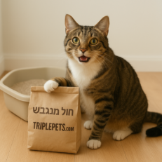 חול לחתולים ושירותים לחתול