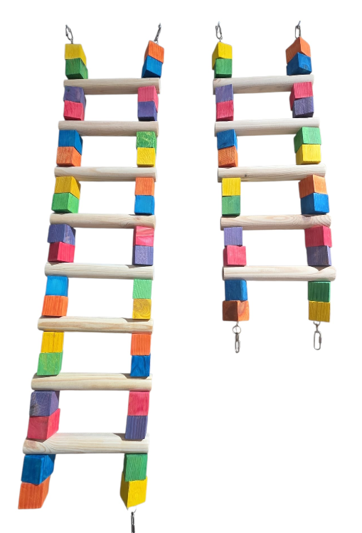 סולם לתוכי גדול צבעוני מעץ טבעי